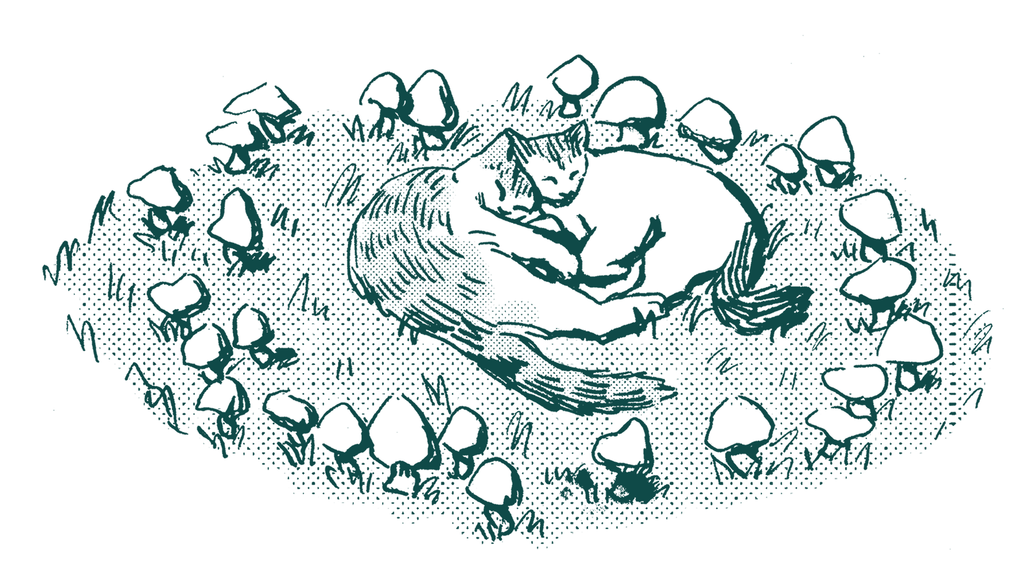 illustration of cats in a mushroom ring